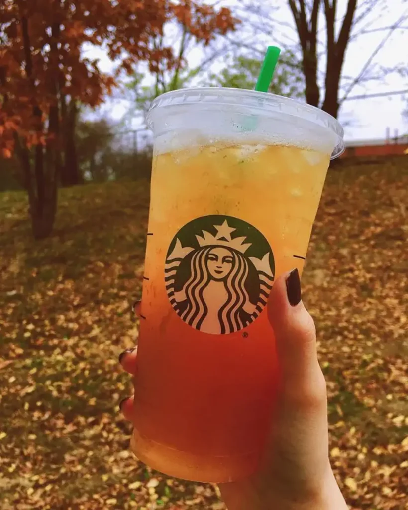 starbucks iced black tea lemonade