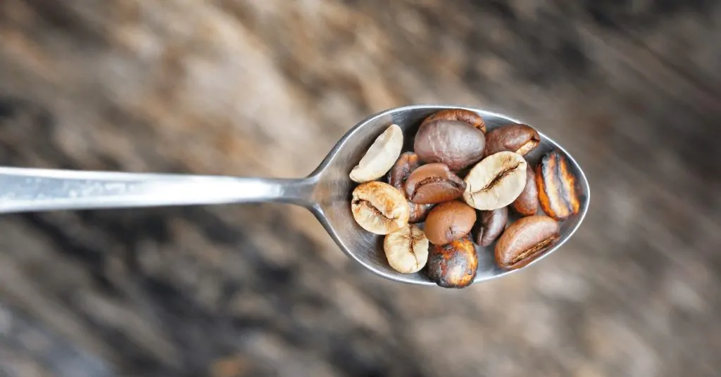 coffee beans on teaspoon