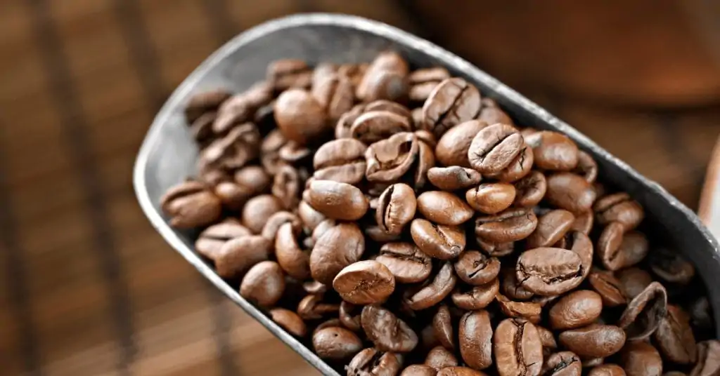 light roast coffee beans