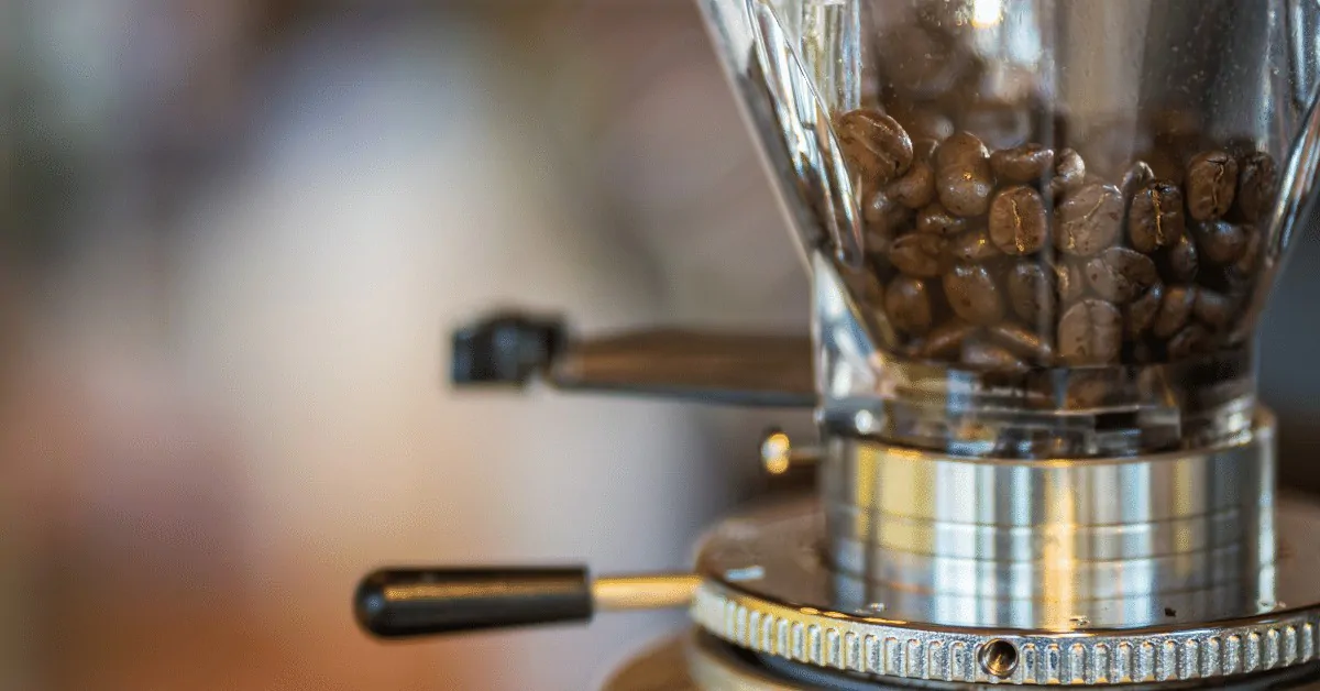 coffee beans in a grinder