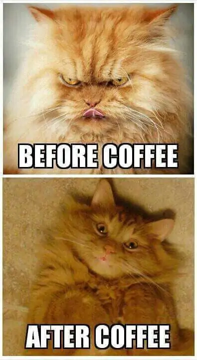 before and after coffee