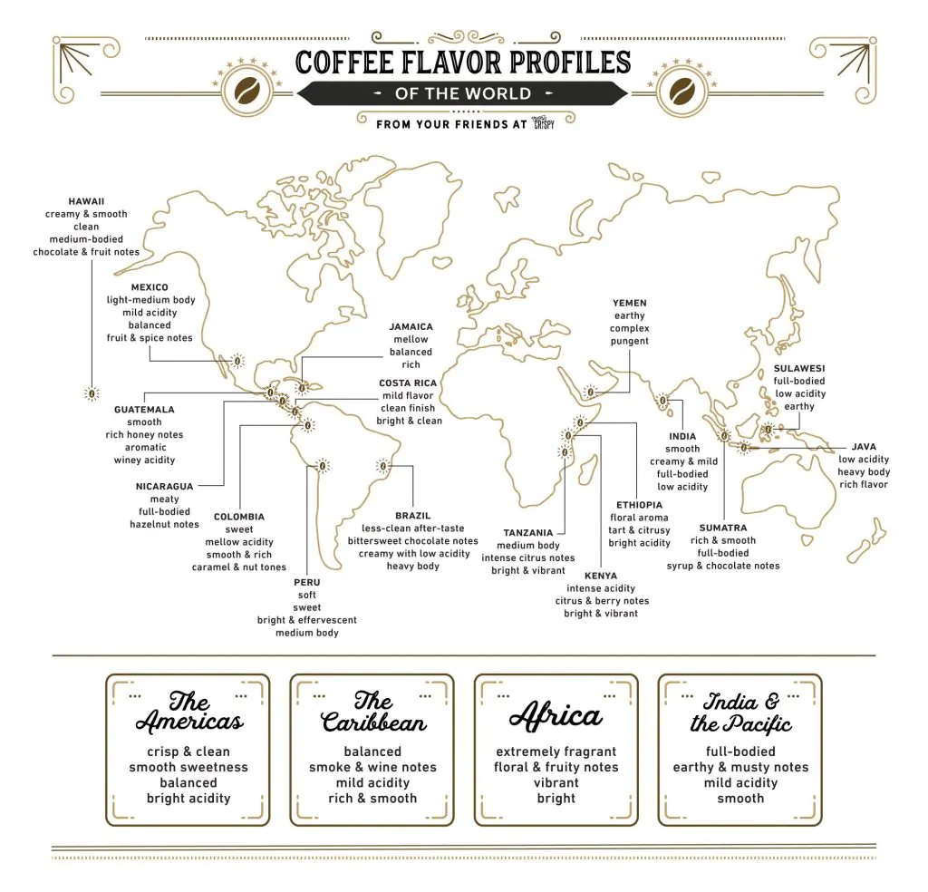 coffee flavor profiles