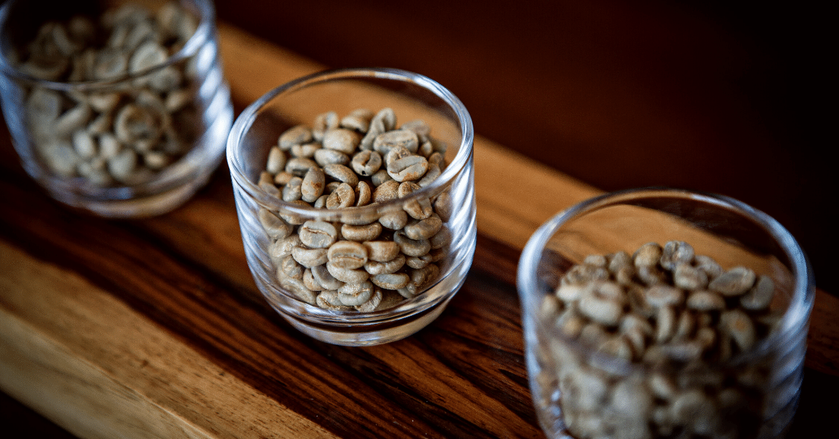 blonde roast coffee beans in a glass cup