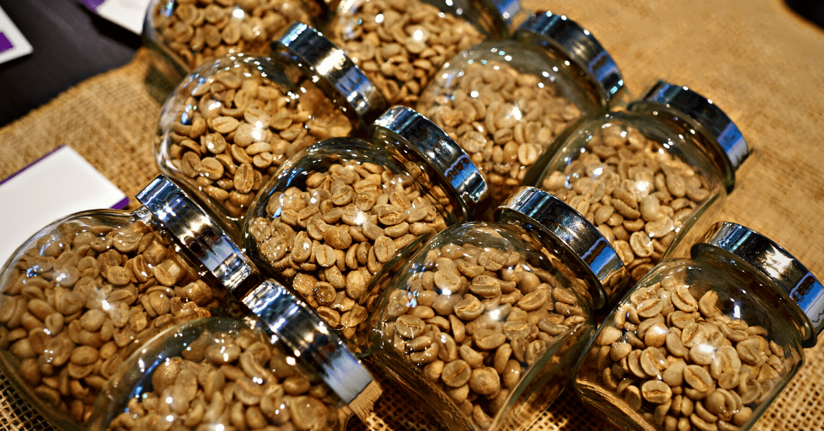 blonde roast coffee in glass jars