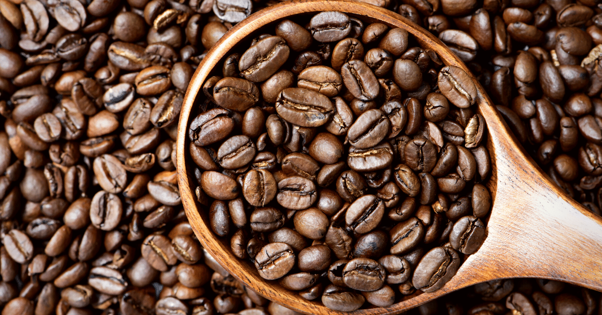 medium roast coffee beans