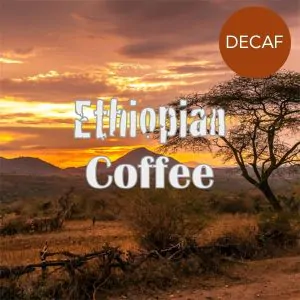 Volcanica Ethiopian Yirgacheffe Decaf Coffee