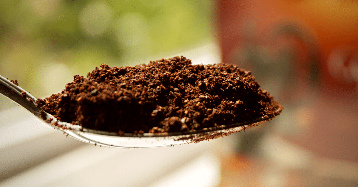 spoon with coffee ground