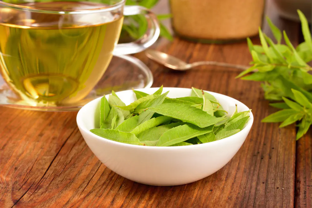 Lemon verbena leaves on white bowl and verbena tea